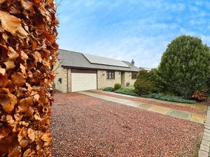 Photo 14- click for photo gallery